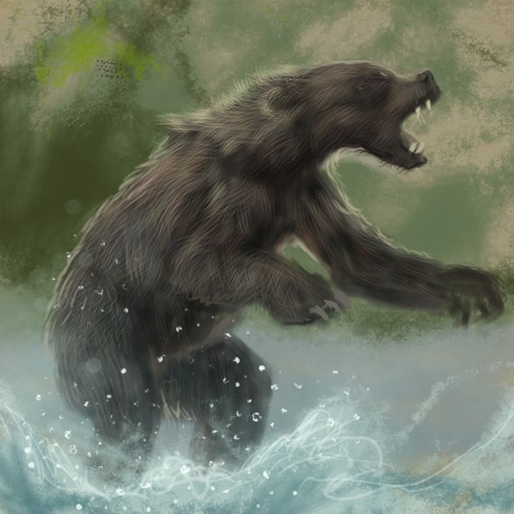 Oso, de Juan Revilla