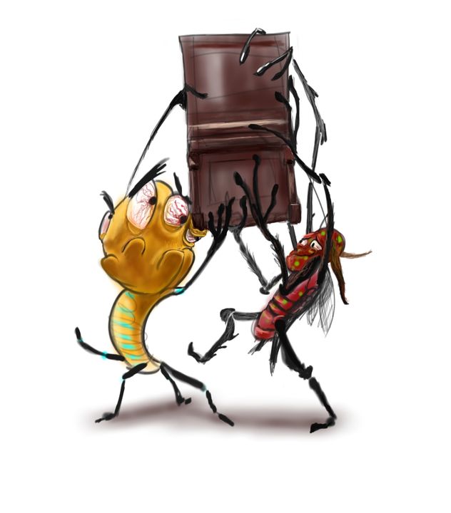 Insectos, de Juan Revilla