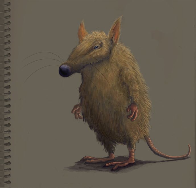 Rata, de Juan Revilla